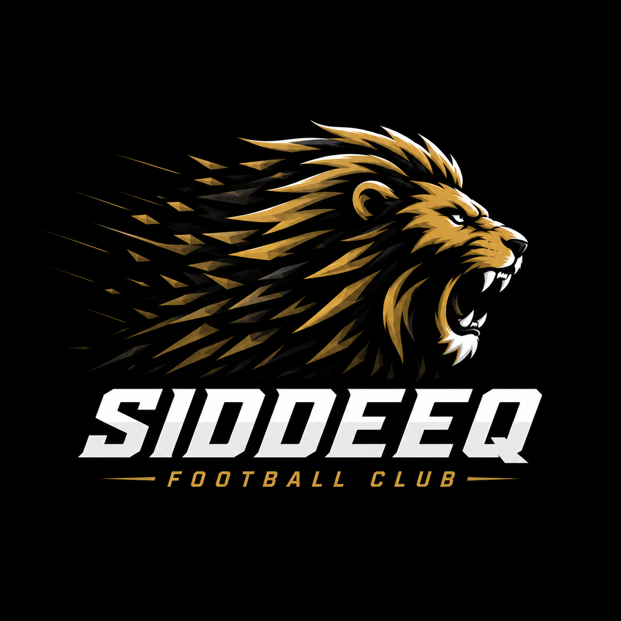 Siddeeq Football Club